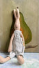 Small Carrot Rabbit - 2008
