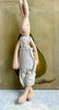 Small Carrot Rabbit - 2008