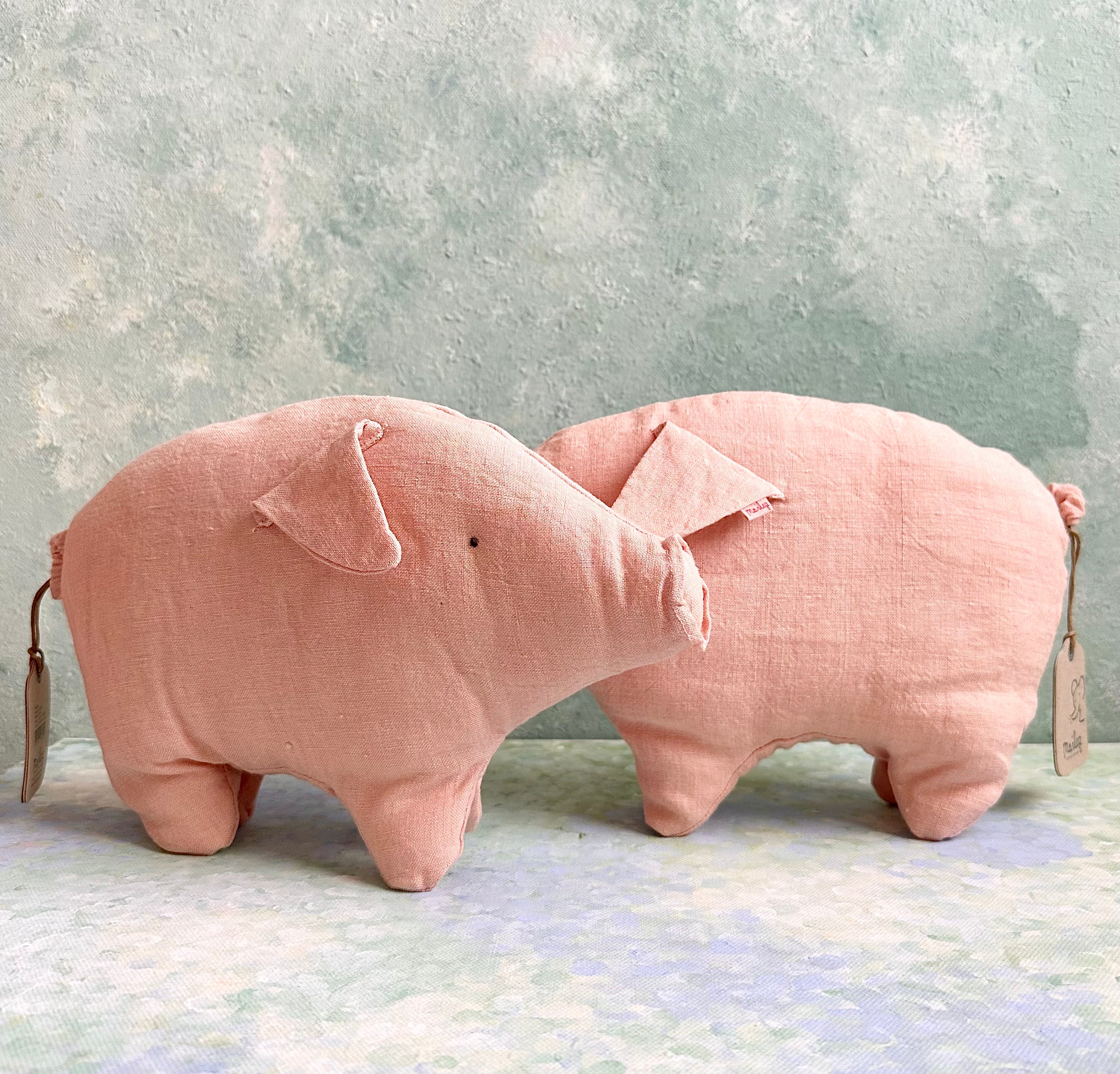 Baby Bacon in Box - 2016