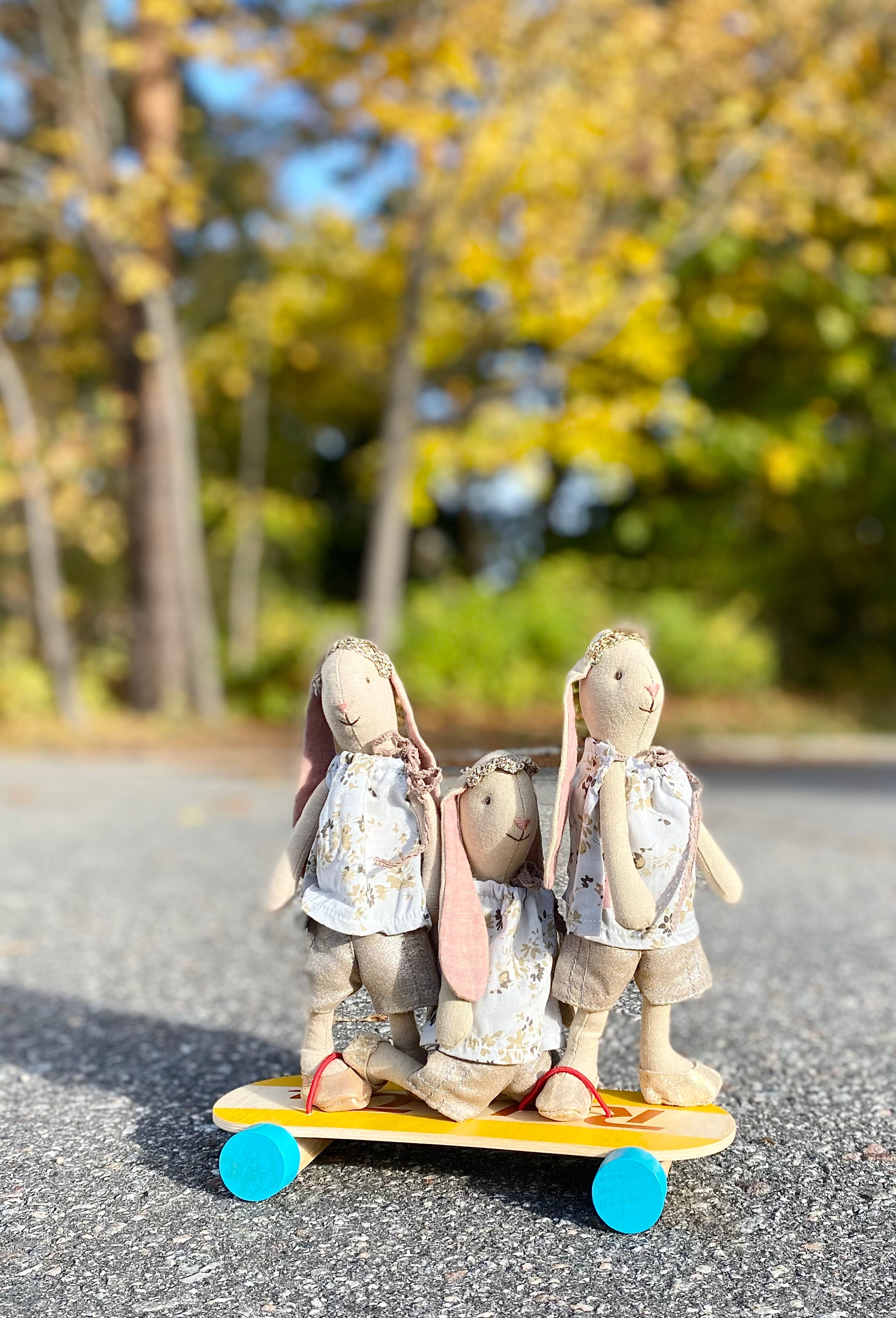 Mini Top & Shorts - 2014