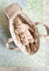 Baby Rabbit - 2010