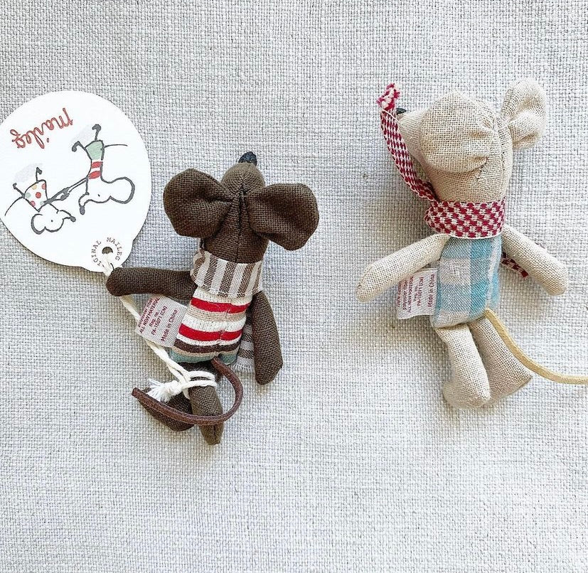 Winter Little Brother - 2010