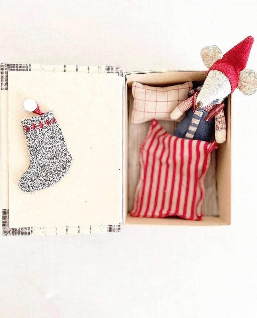 Christmas Big Brother in Bookcase - 2018