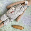 Small Carrot Rabbit - 2008