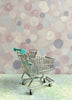 Mini Cart